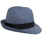 2-tone fedora hat and its ribbon
